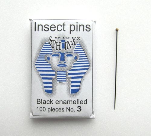 Insectpins, black, size 3