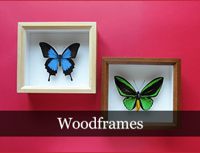 woodframes
